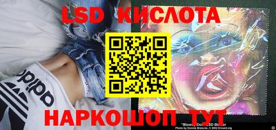 СК Ярославль