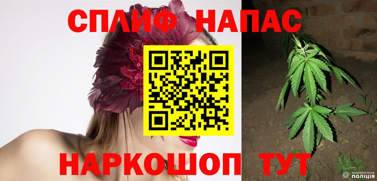 МАРИХУАНА планчик Волгоград